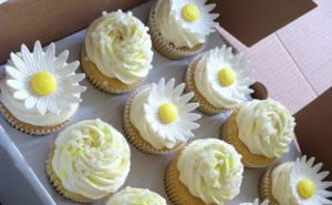 Vanilla Cupcakes 2